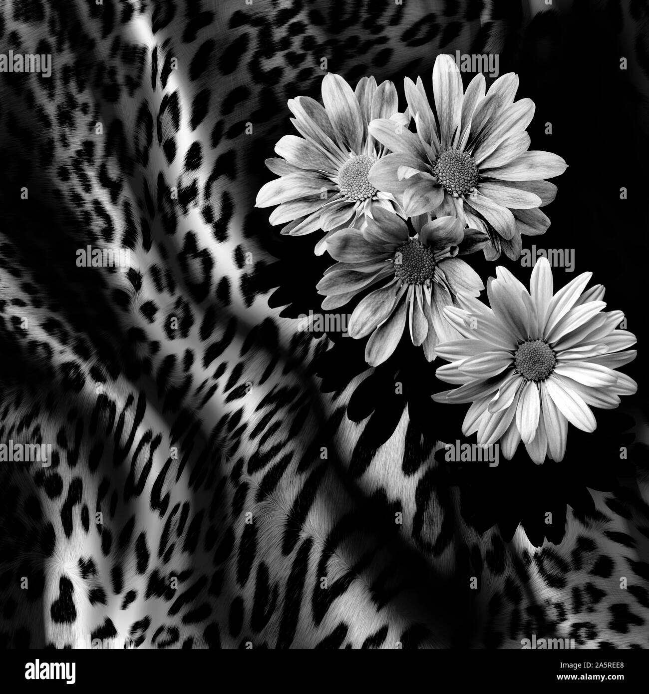 Leopard Pattern. Leopard Print. Leopard Texture. Leopard background