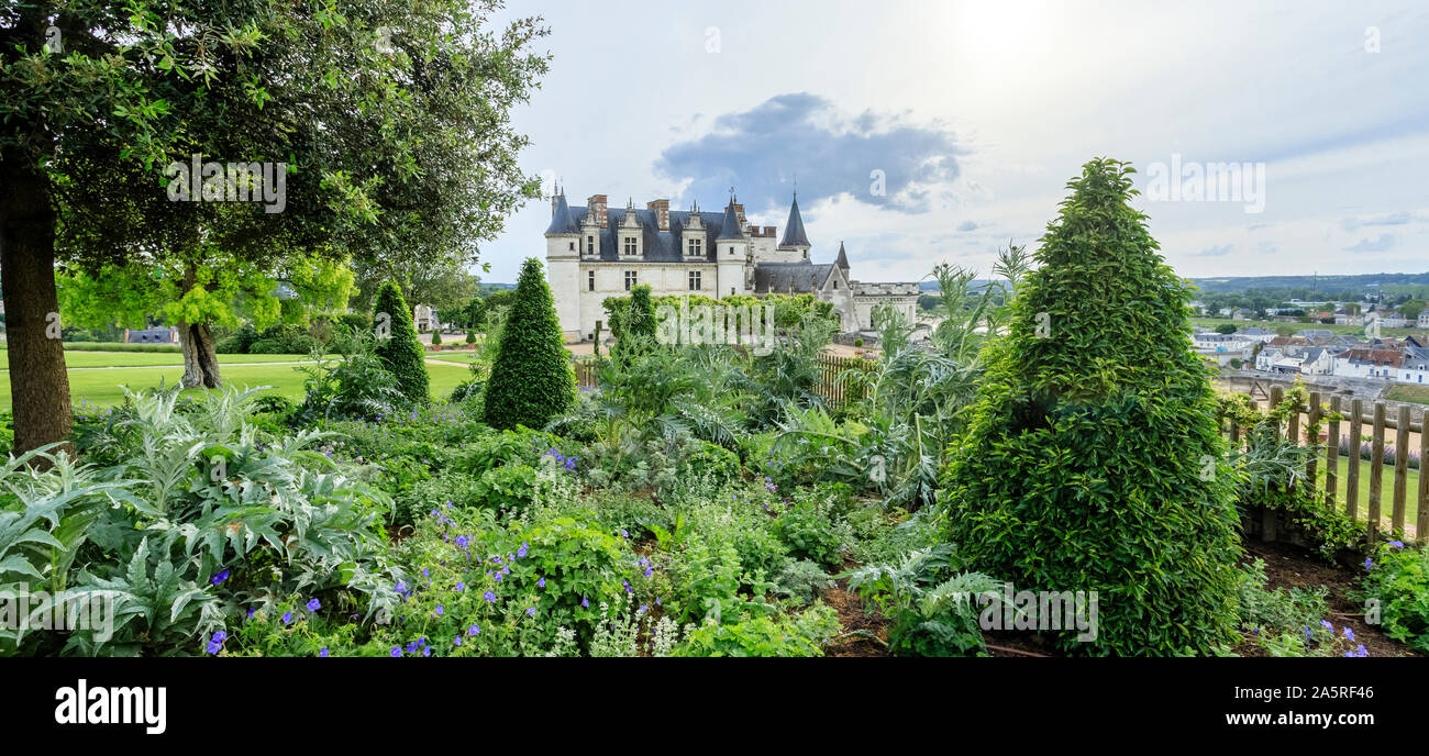 France, Indre et Loire, Loire valley listed as World Heritage by UNESCO, Amboise, Amboise royal castle, Portugal laurel flowerbed cut into topiary, ge Stock Photo