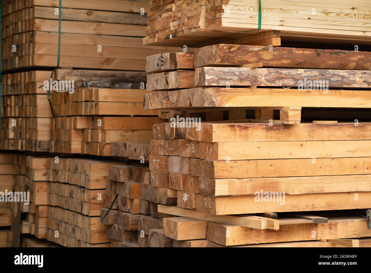 Satck of Timber are storaged in the wood warehouse. Stock Photo