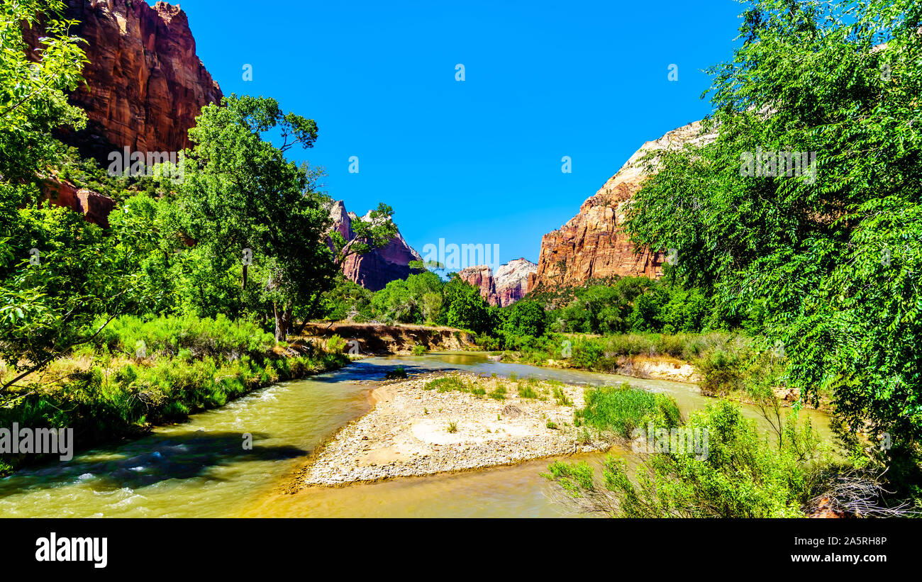 Zion Canyon With The Virgin River At The Sand Beach Trail Near The Court Of The Patriarchs In