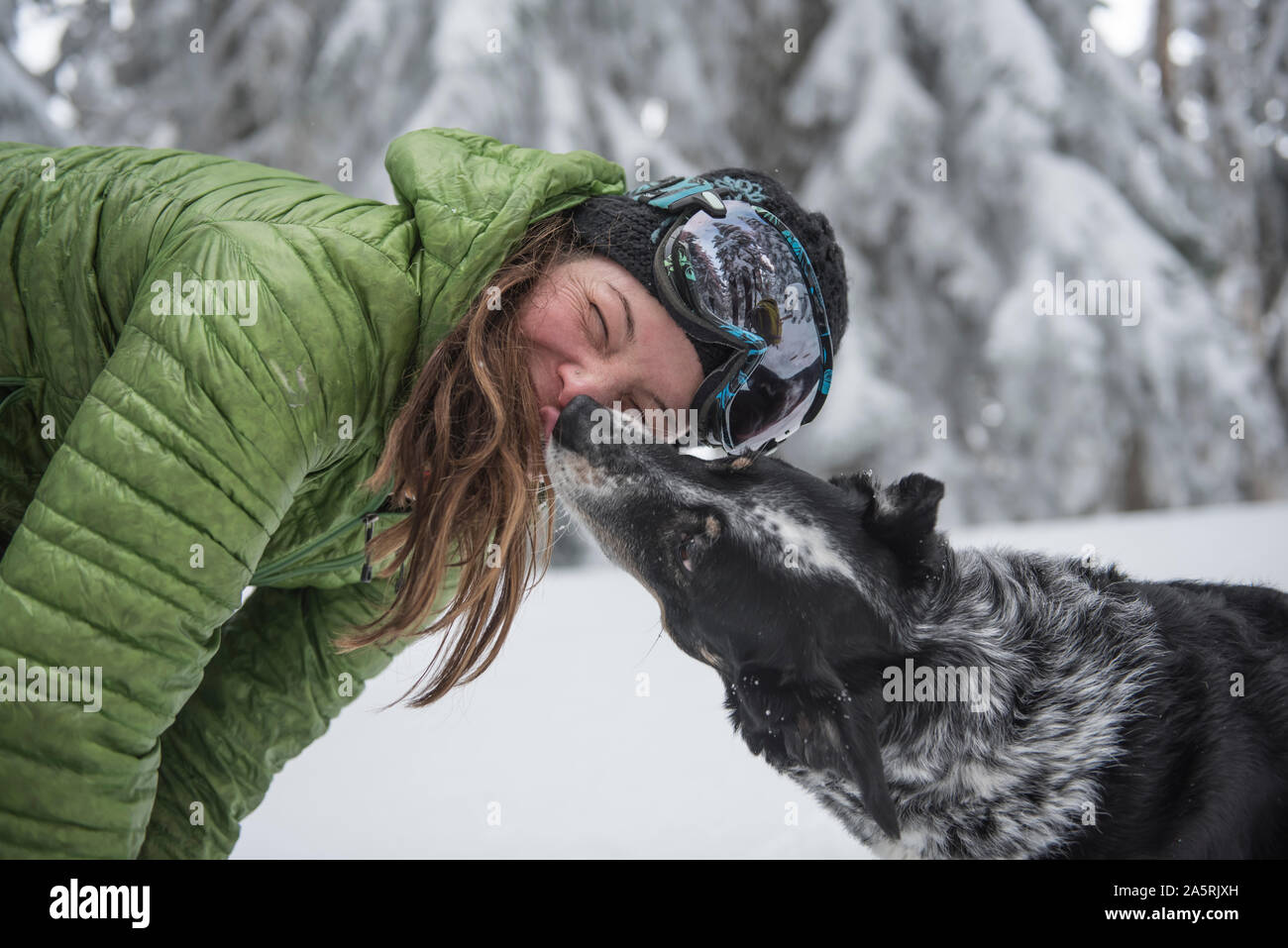 Dog licks woman hires stock photography and images Alamy
