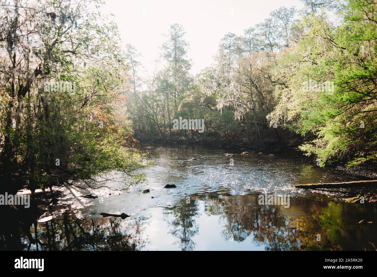 Nature Around Us Stock Photo Alamy