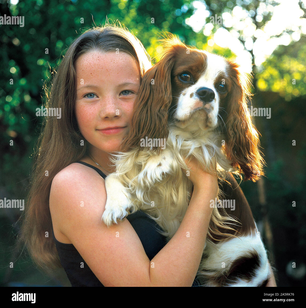 Icelandic young girl with her dog, a King Charles Spaniel, Iceland Stock Photo