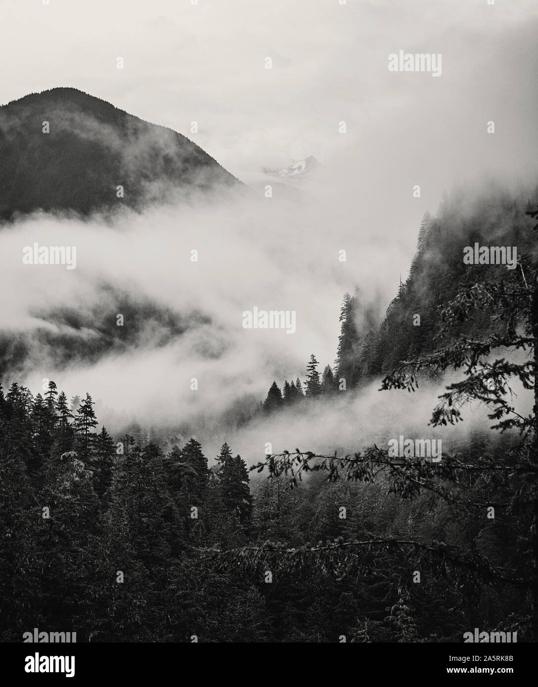 Outdoor fog valleys hi-res stock photography and images - Alamy