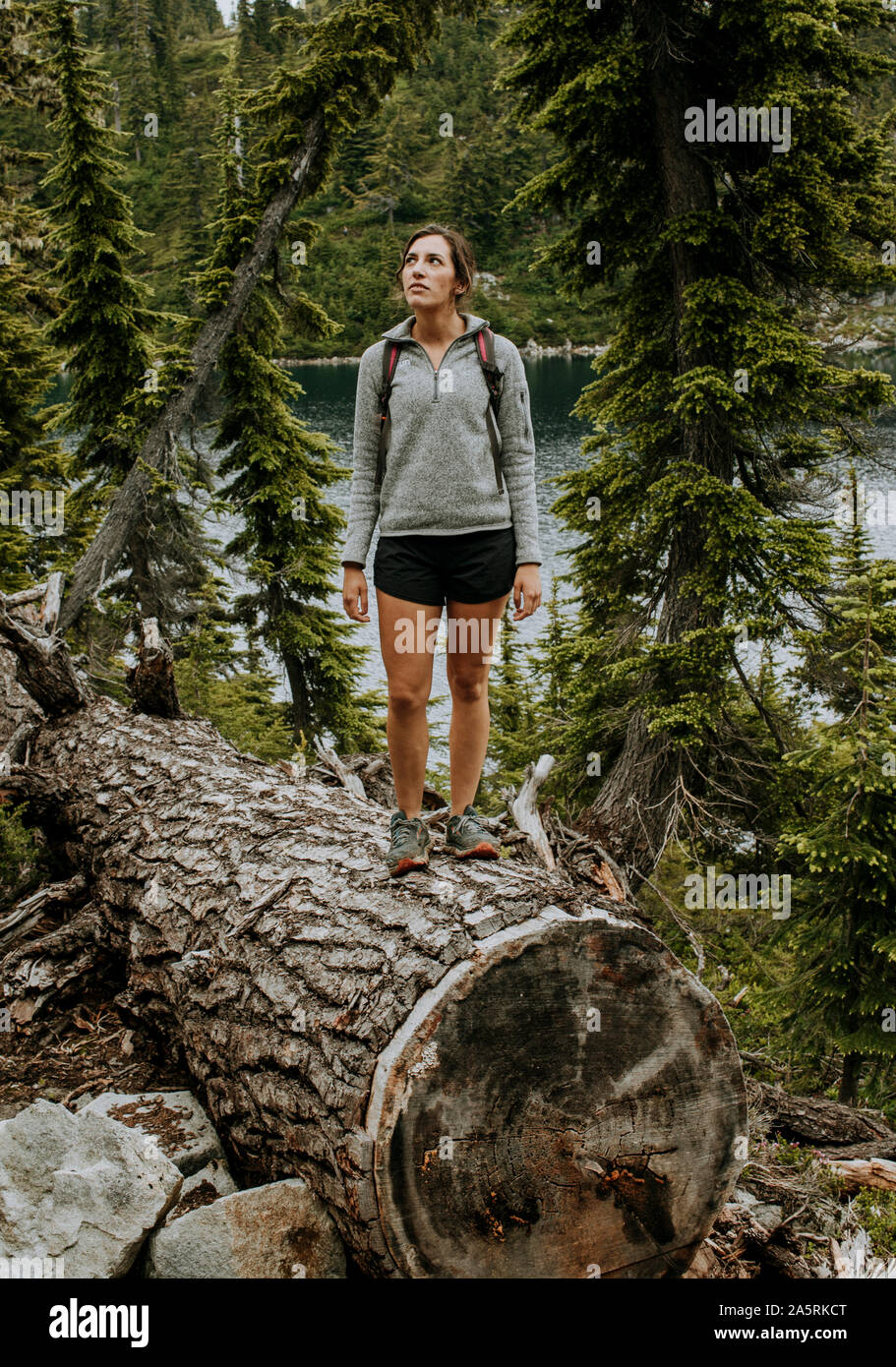 A female hiker with a sweater stands on a giant log near a lake Stock Photo