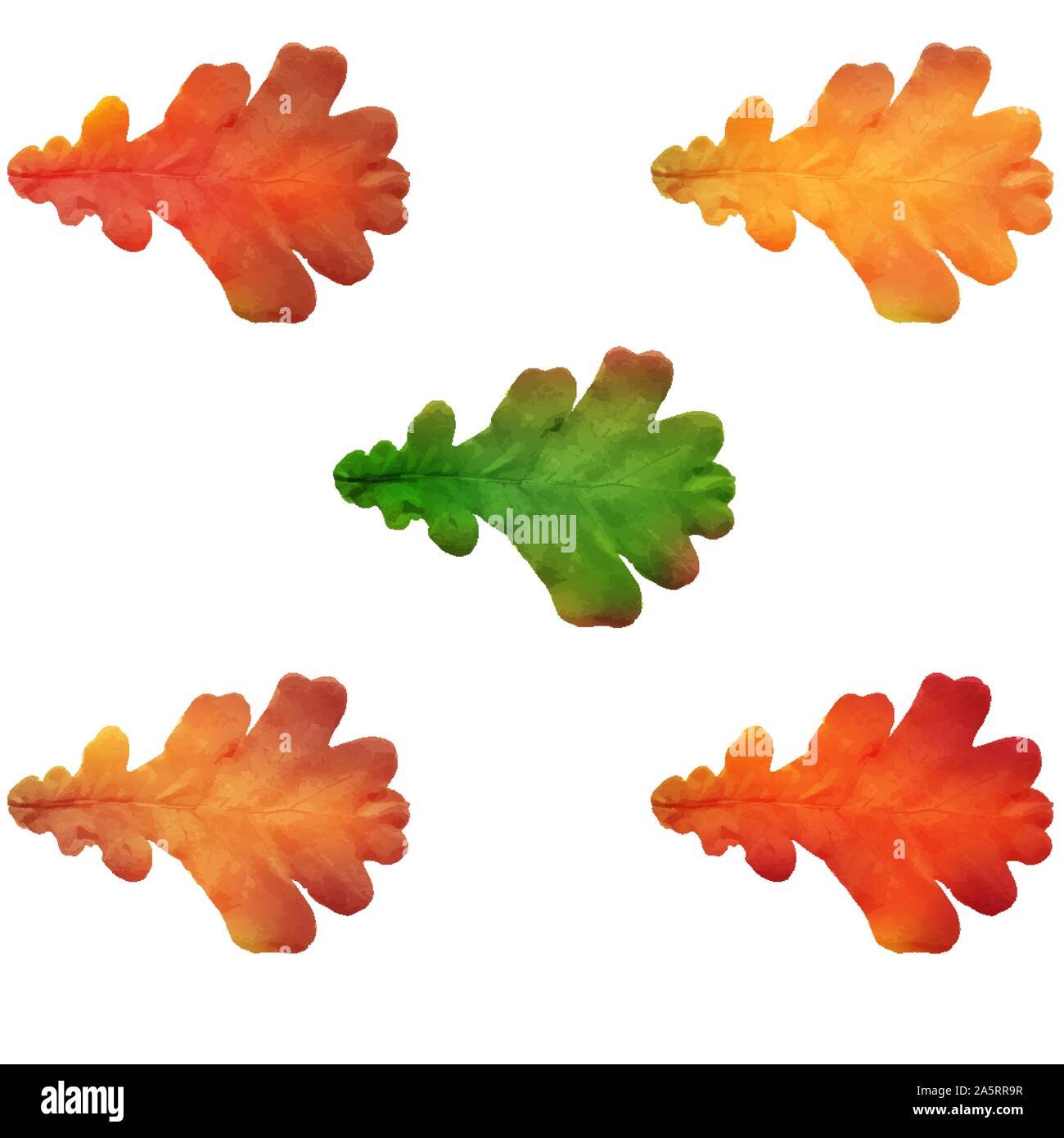 White oak tree Stock Vector Images - Alamy