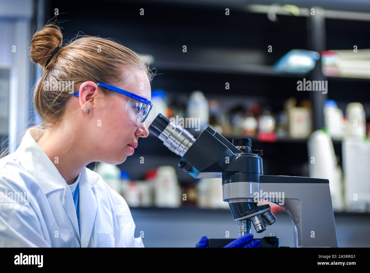 Scientists Working in The Laboratory stock photo Slovenia, Adult, Adults Only, Analyzing, Biochemistry Stock Photo