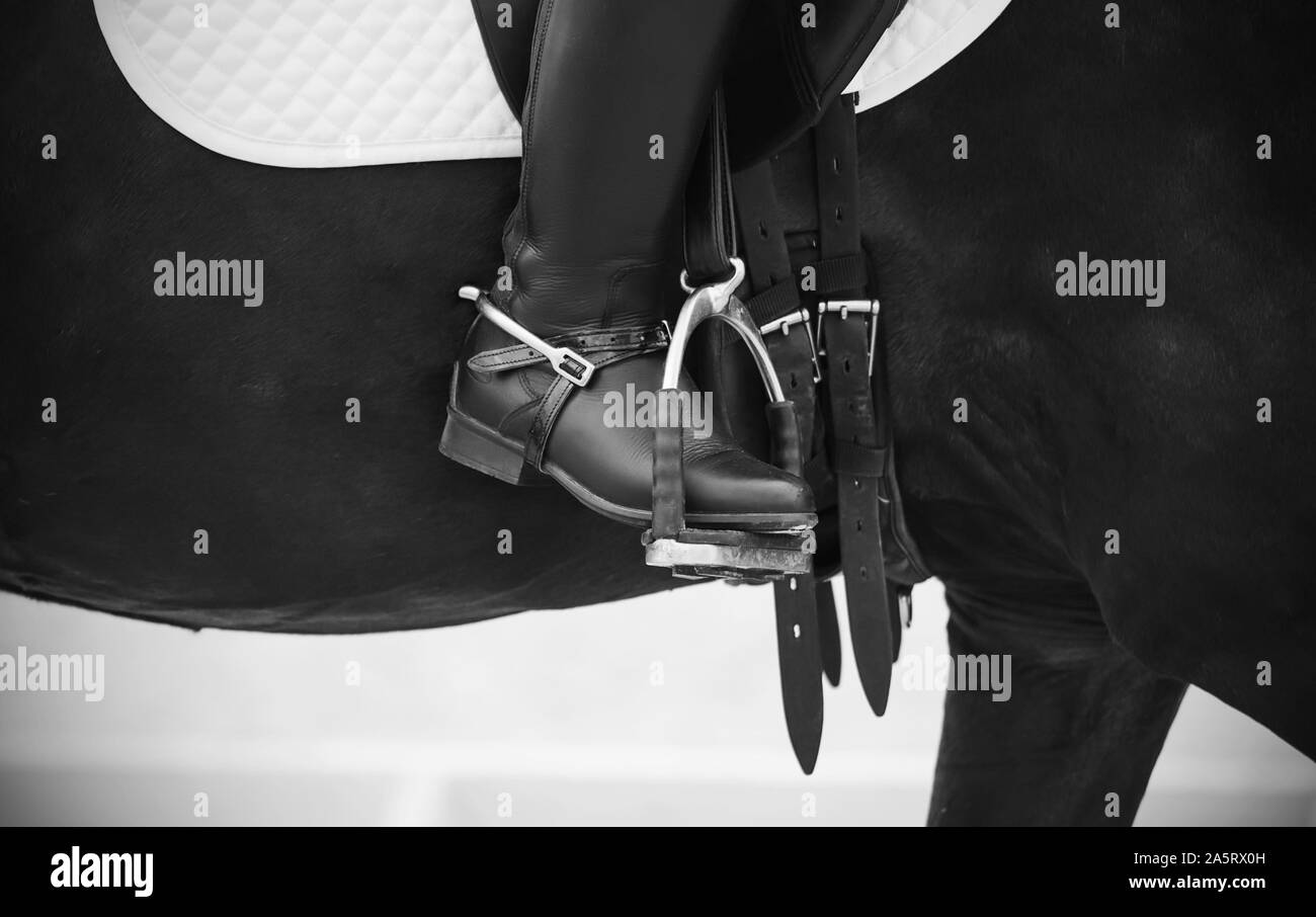 Leather elegant boot riding rider rests on a metal stirrup, which is one of the components of equestrian equipment. Stock Photo