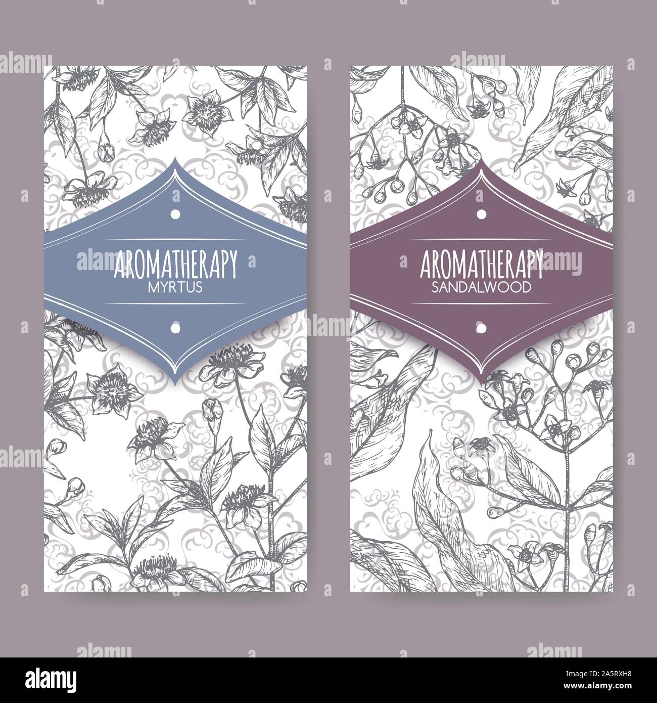 Two labels with Common myrtle aka Myrtus communis and Indian sandalwood aka Santalum album sketch on elegant lace background. Great for traditional me Stock Vector