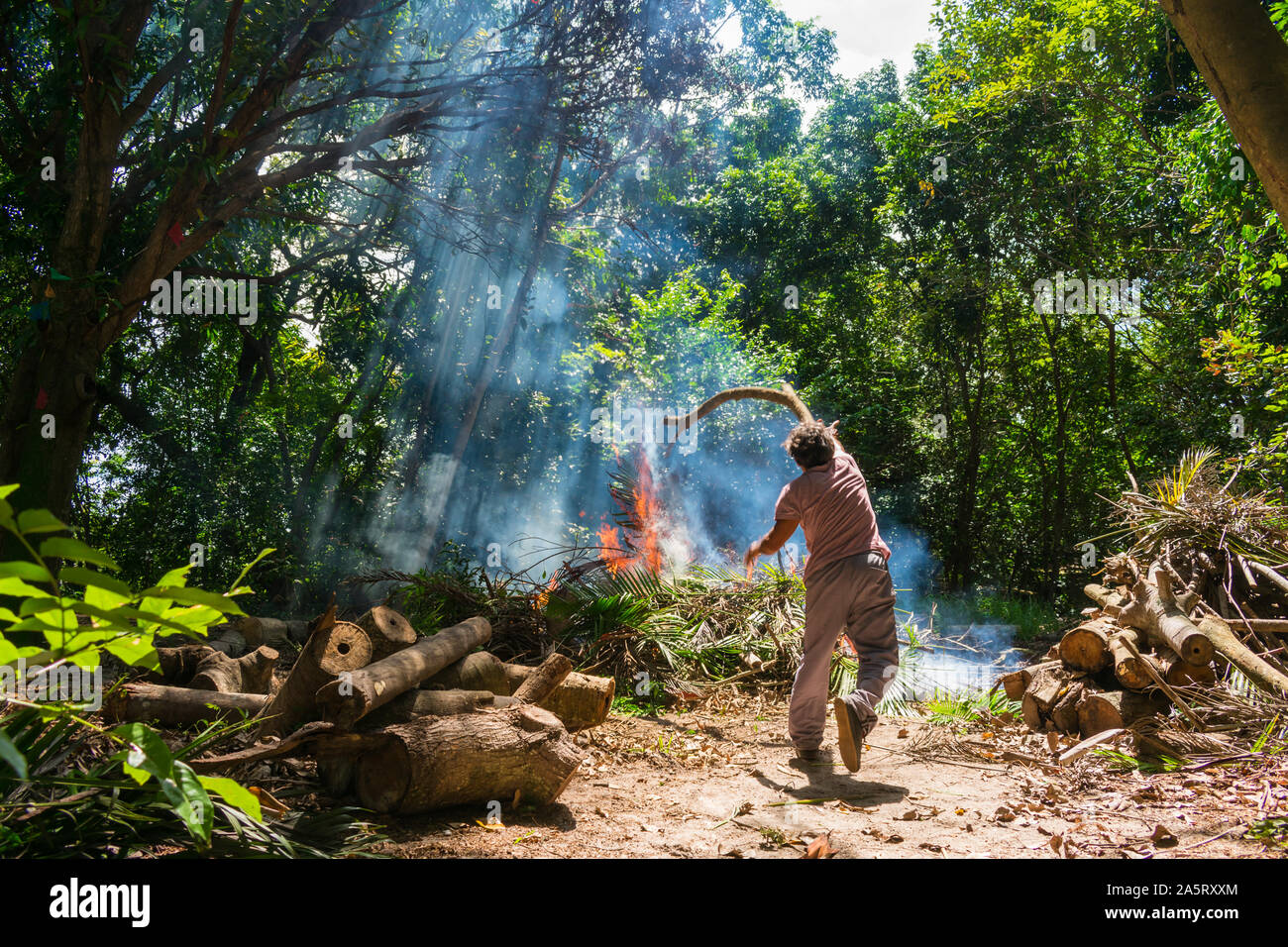 Man throwing wood at a big bonfire, sun rays beaming through the trees