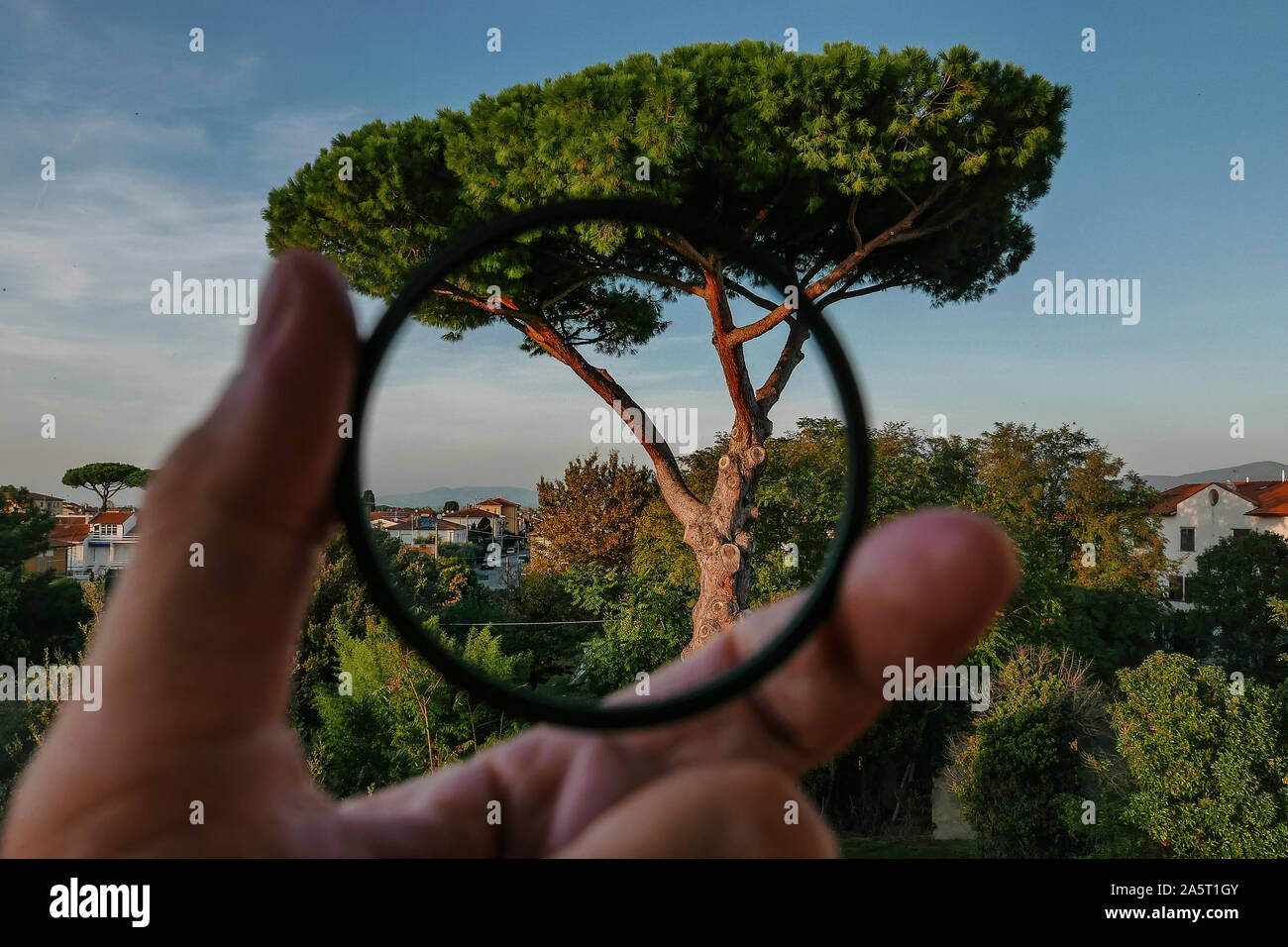 Polarizing filter hires stock photography and images Alamy