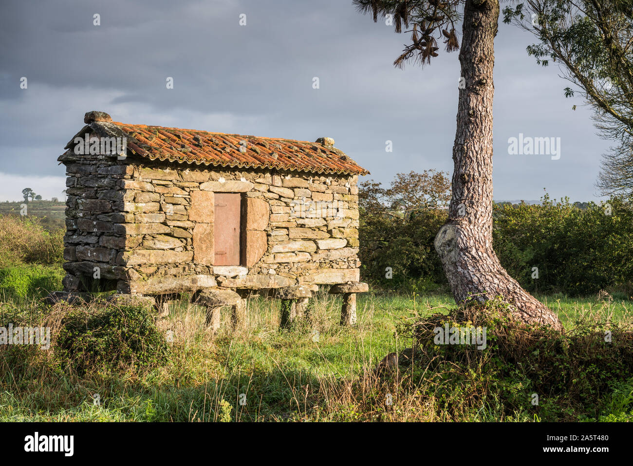 Horreo (traditional granary in Galicia), Galicia, Spain. Camino de Sanigo. Stock Photo