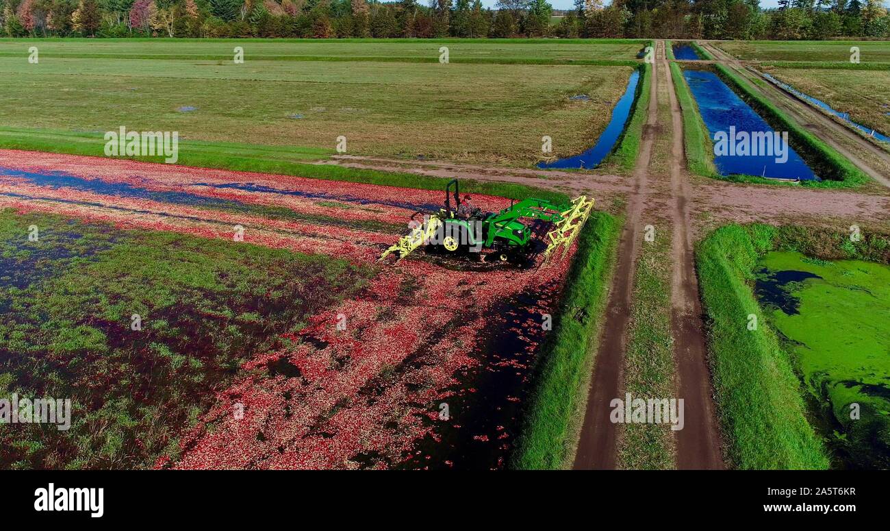 Cranberry bog aerial hires stock photography and images Alamy