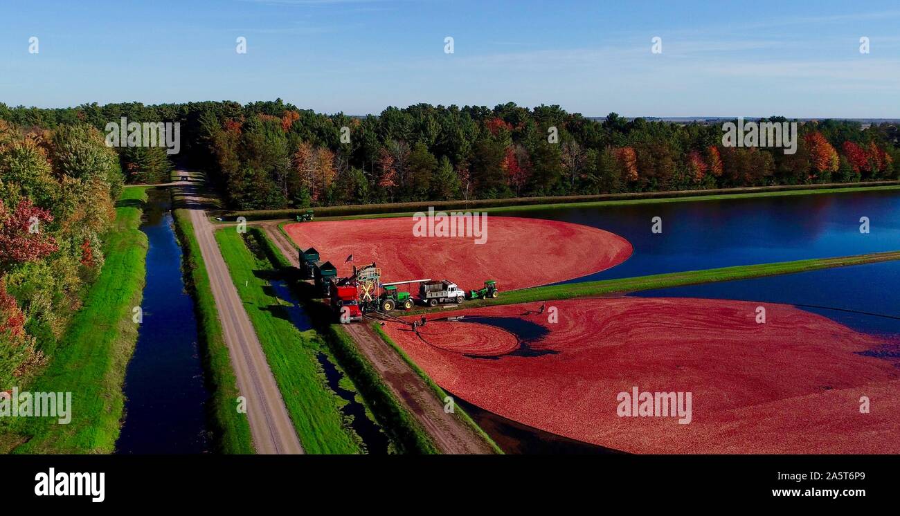 Cranberries floating hires stock photography and images Alamy