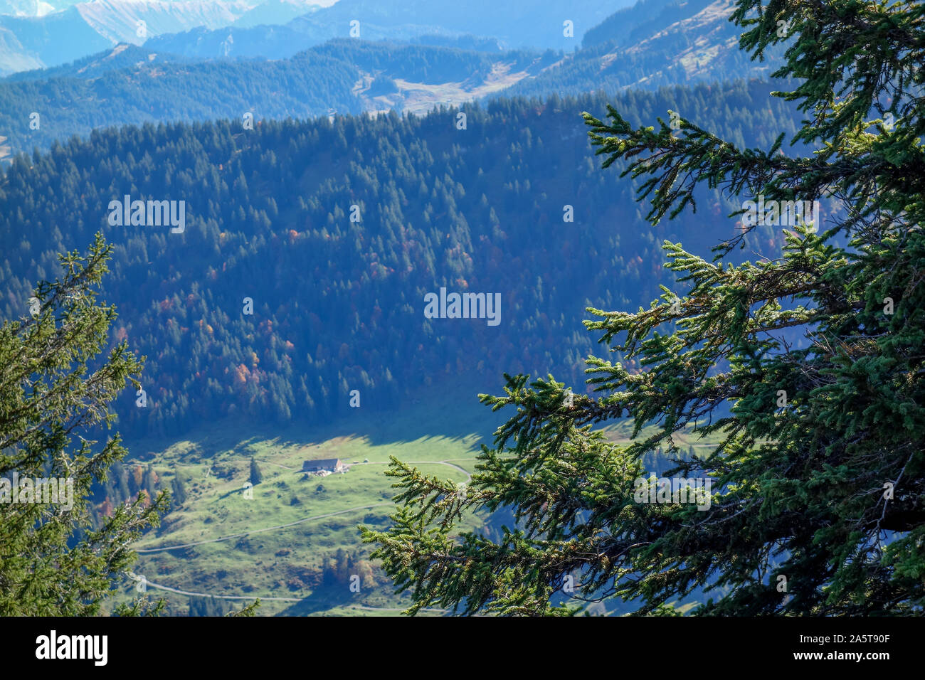 autumn in the german allgäu Stock Photo - Alamy