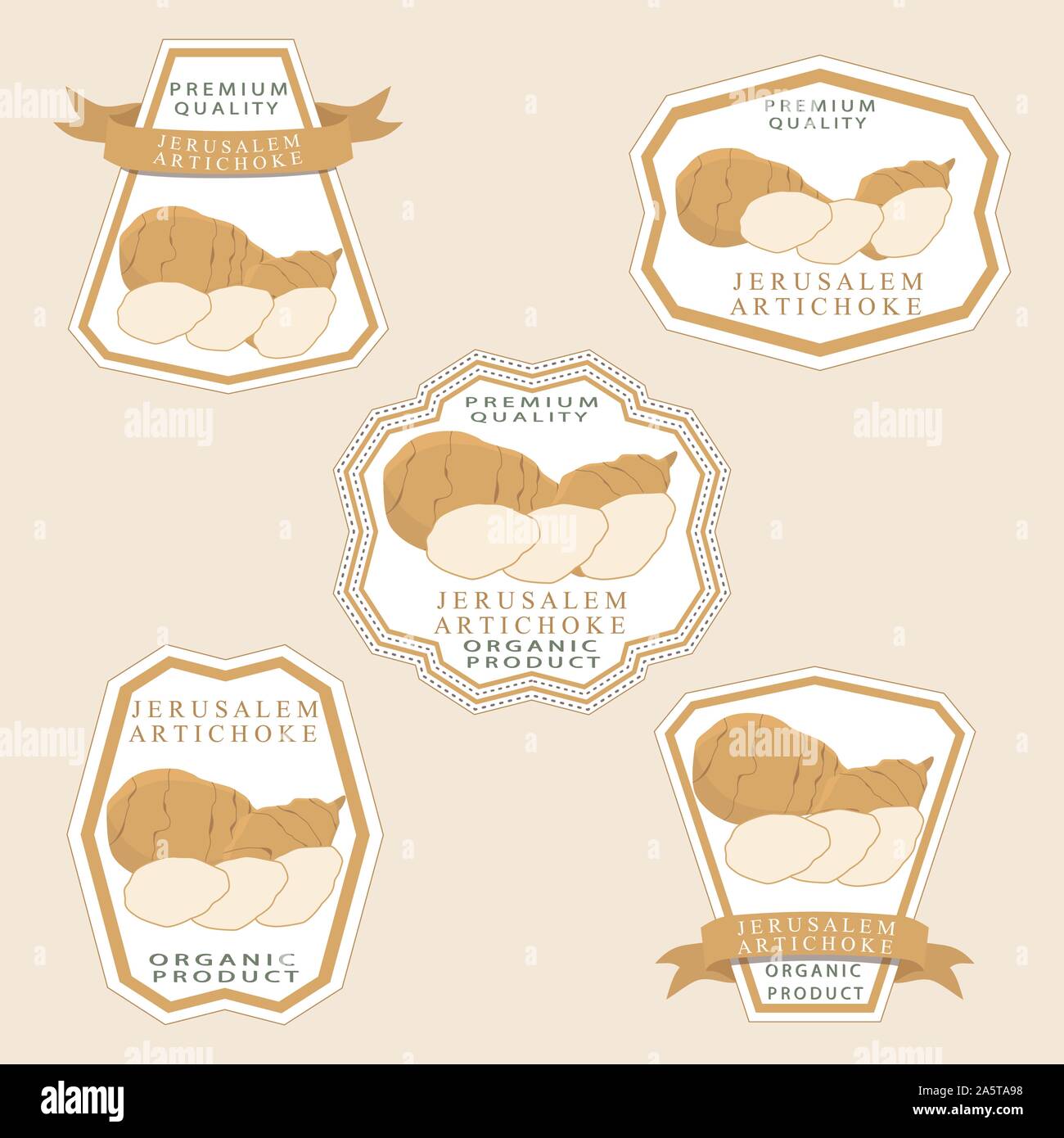 Jerusalem artichoke vector vectors hi-res stock photography and images ...