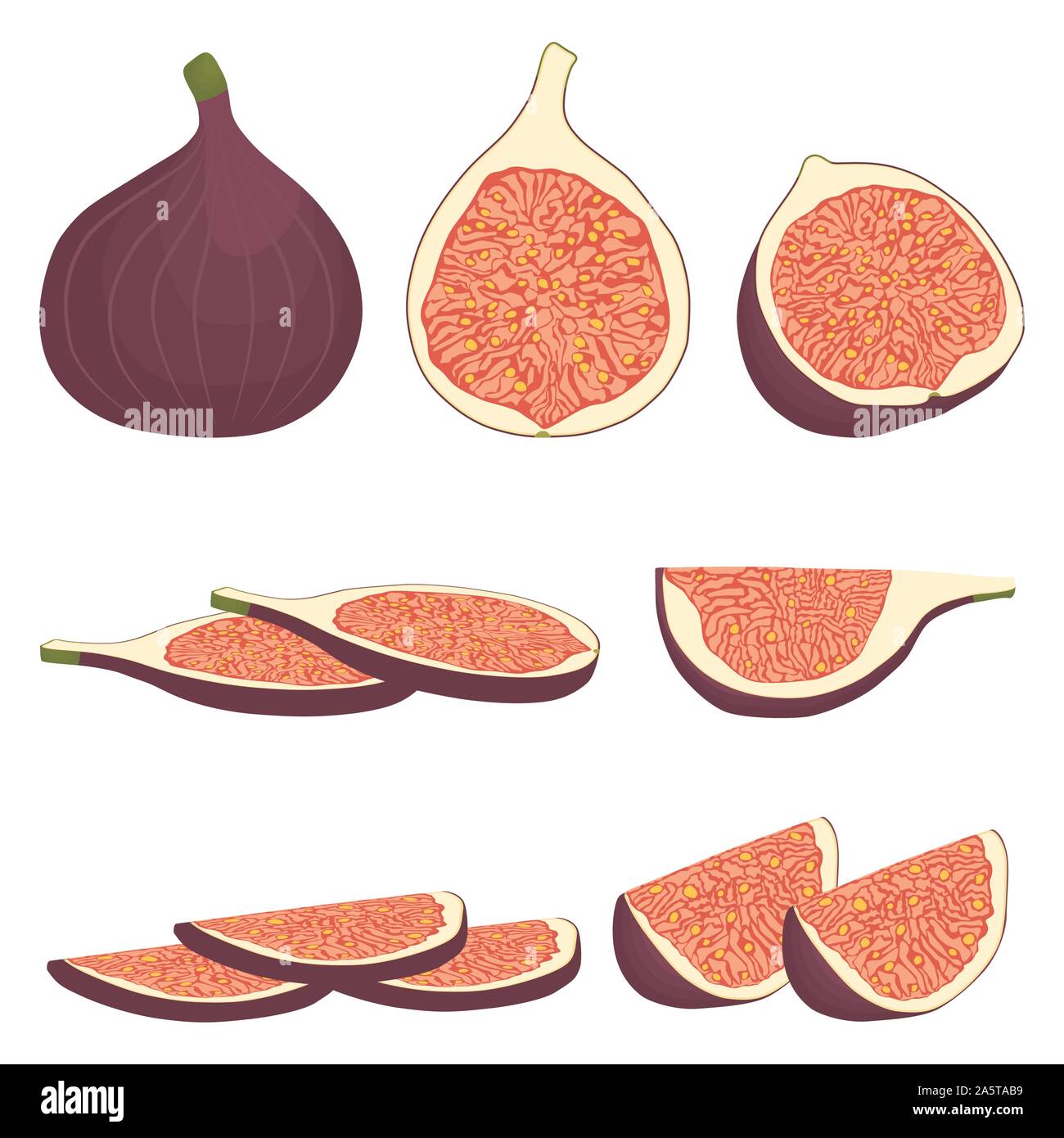Fig slice Stock Vector Images - Alamy