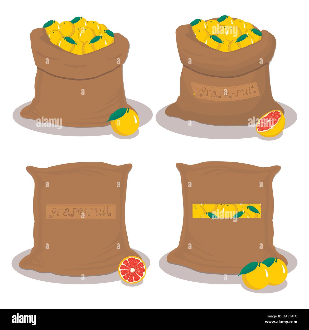 Vector illustration logo for bags filled with citrus grapefruit
