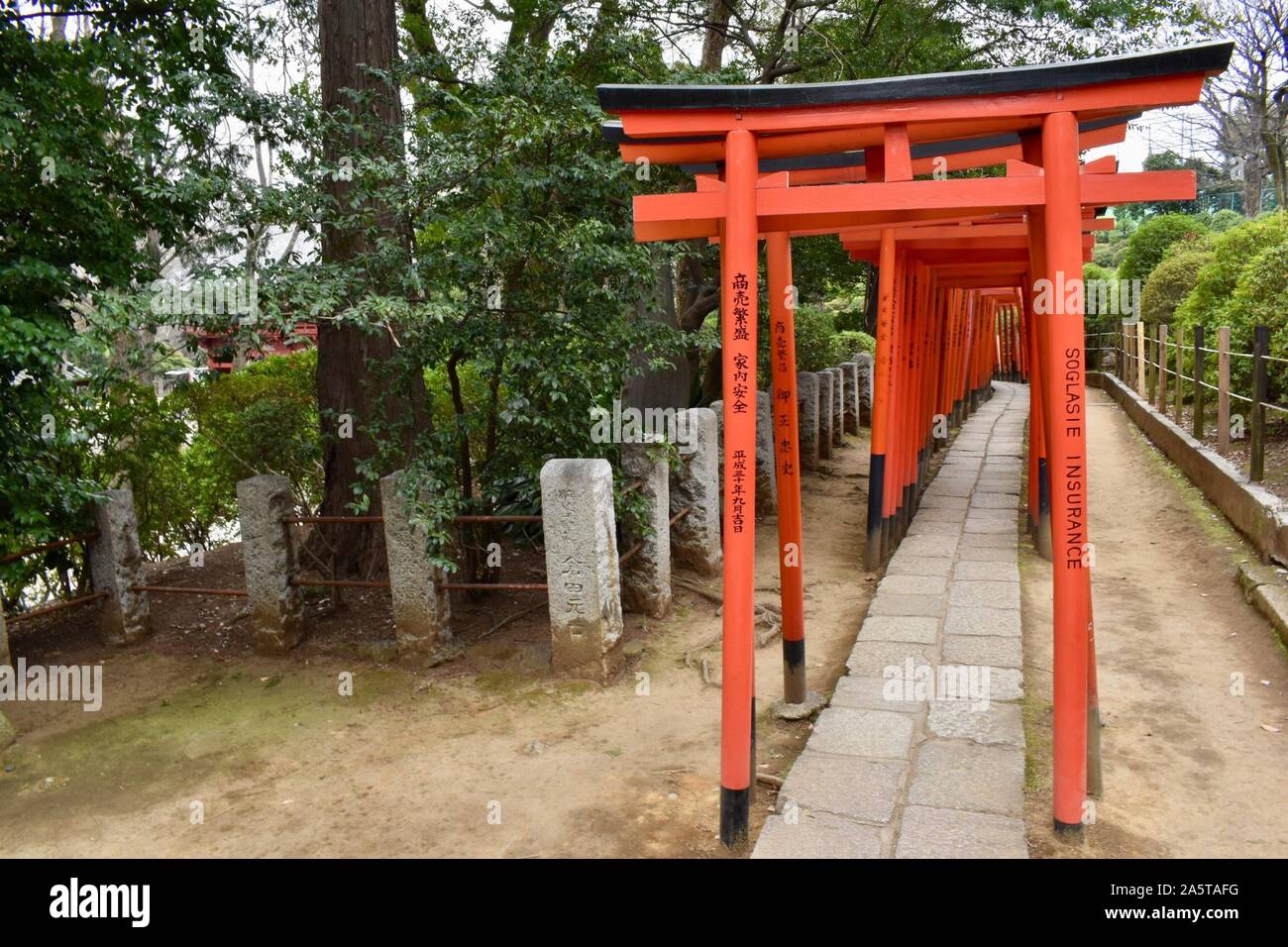 Torii Gates Nezu Shrine High Resolution Stock Photography and Images ...