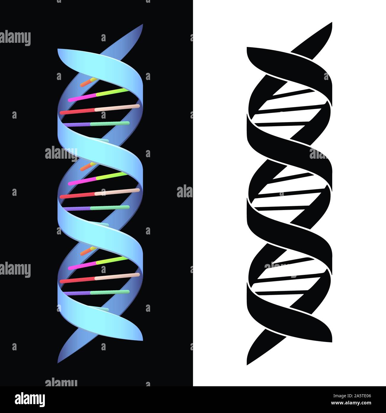 DNA Spiral Helix Isolated Vector Illustration in both Full Color and Black Stock Vector