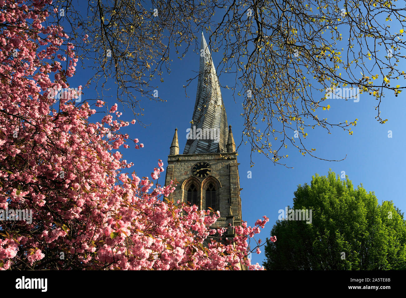 The Crooked Spire of St Mary and All saints Church, Chesterfield market town, Derbyshire, England, UK Stock Photo