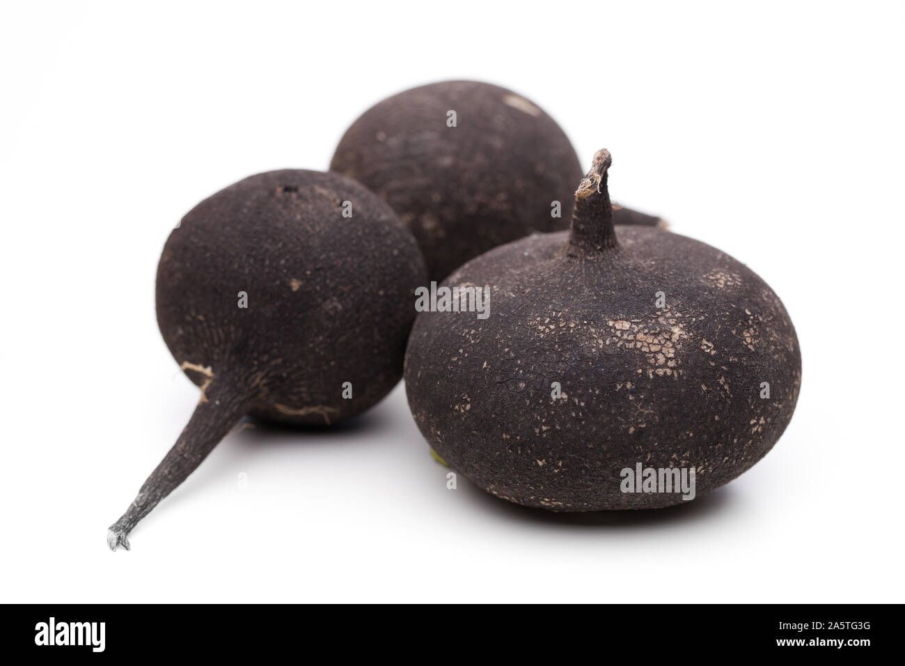 Black radish isolated on white background Stock Photo
