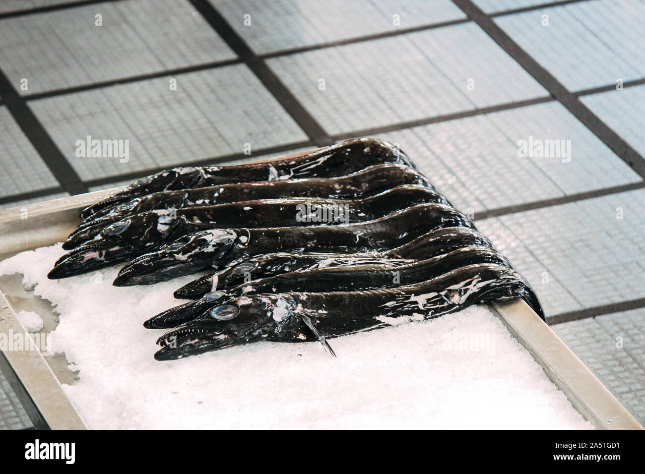 Espada fish on traditional fish market in Funchal, Madeira, Portugal. Black scabbardfish, Aphanopus carbo, is a typical Madeiran dish, usually served with banana. Fish on ice, fishery. Stock Photo