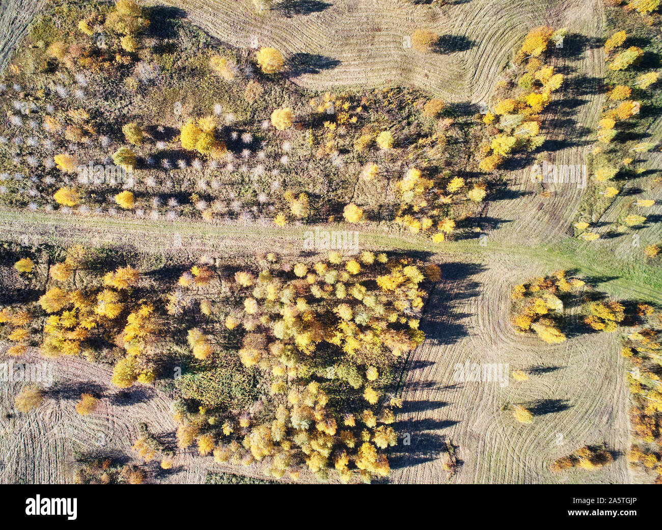 Trees by the roads hi-res stock photography and images - Alamy