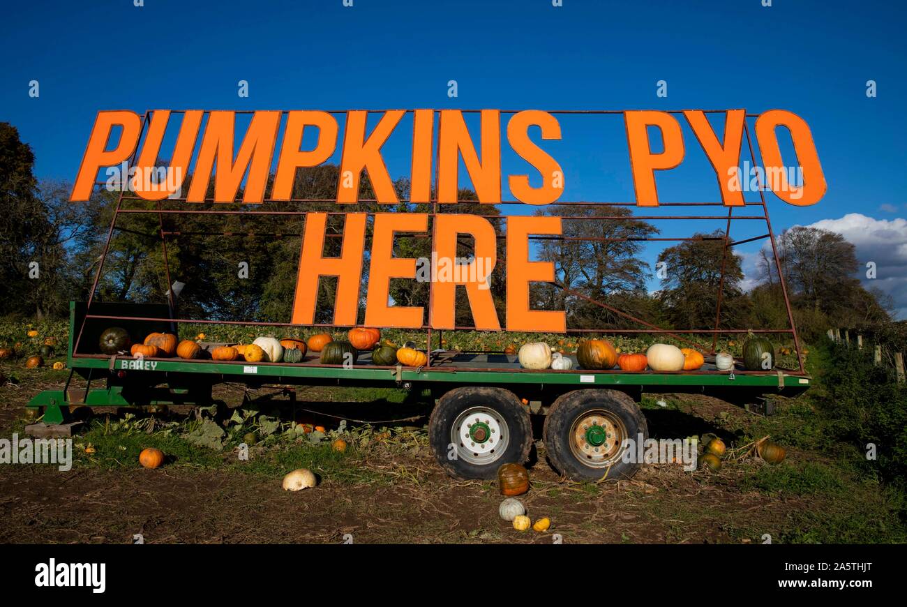 A large sign made visible to motorists at a pick-your-own pumpkin field near Cardiff, October 2019. Stock Photo
