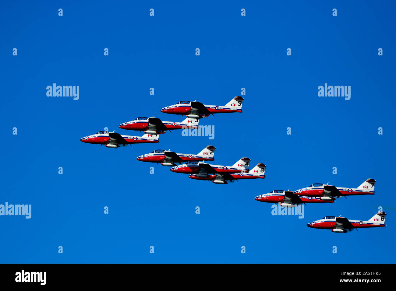 The Canadian Forces 431 Air Demonstration squadron flying in formation at an air show in 2019 over the Nanaimo harbour on Vancouver Island British Col Stock Photo
