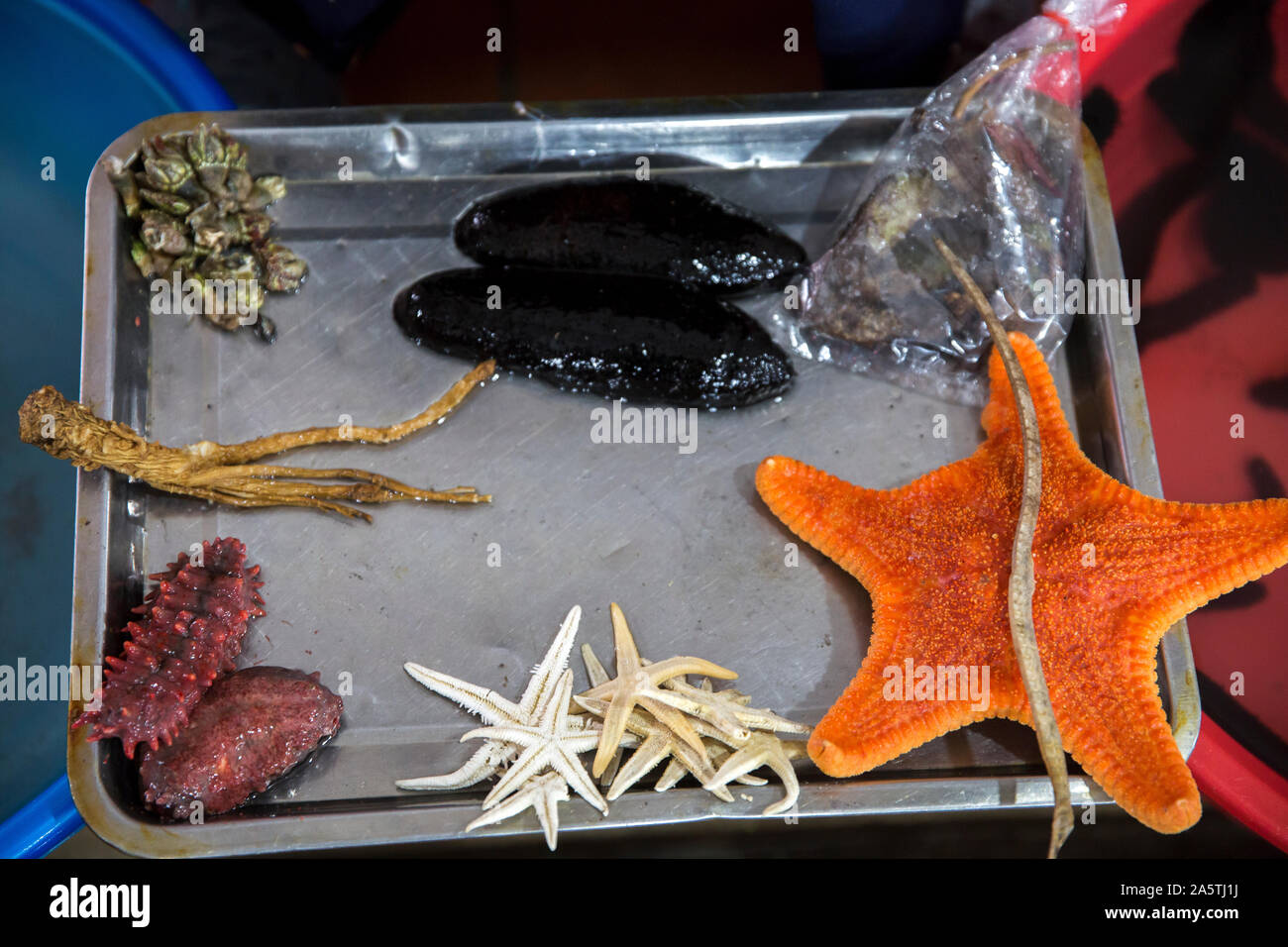 A tray of exotic seafood in a tray at a Vietnamese Market Stock Photo