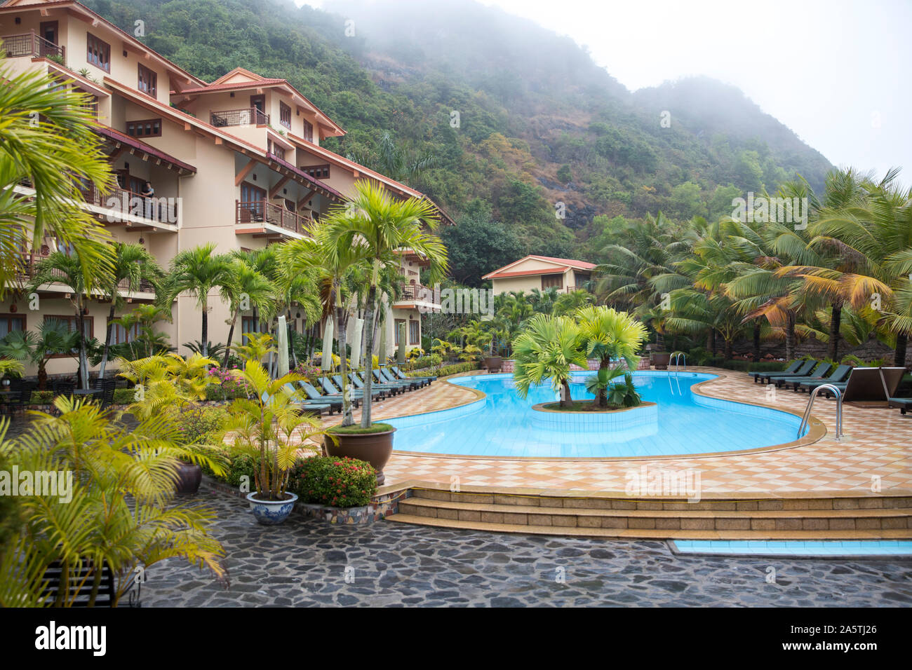 A hotel and pool are surrounded by lush palm trees on Cat Ba Island. Stock Photo