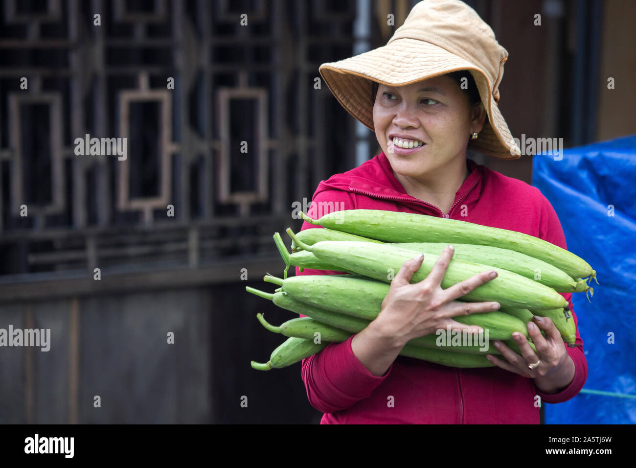 A Vietnamese woman carries fresh ridge gourd Luffa aegyptiaca. Stock Photo