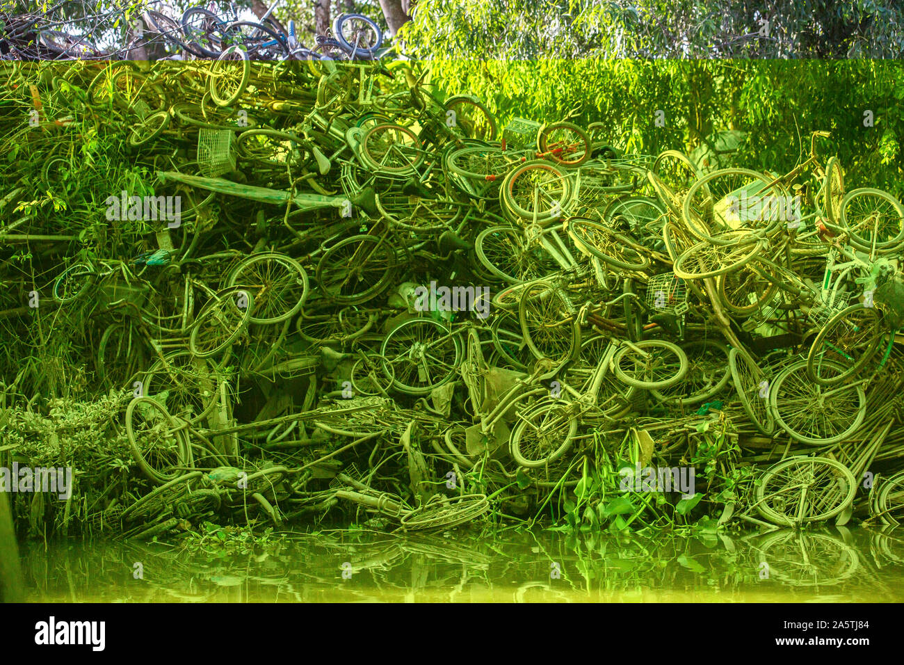 A pile of junked bicycles Stock Photo