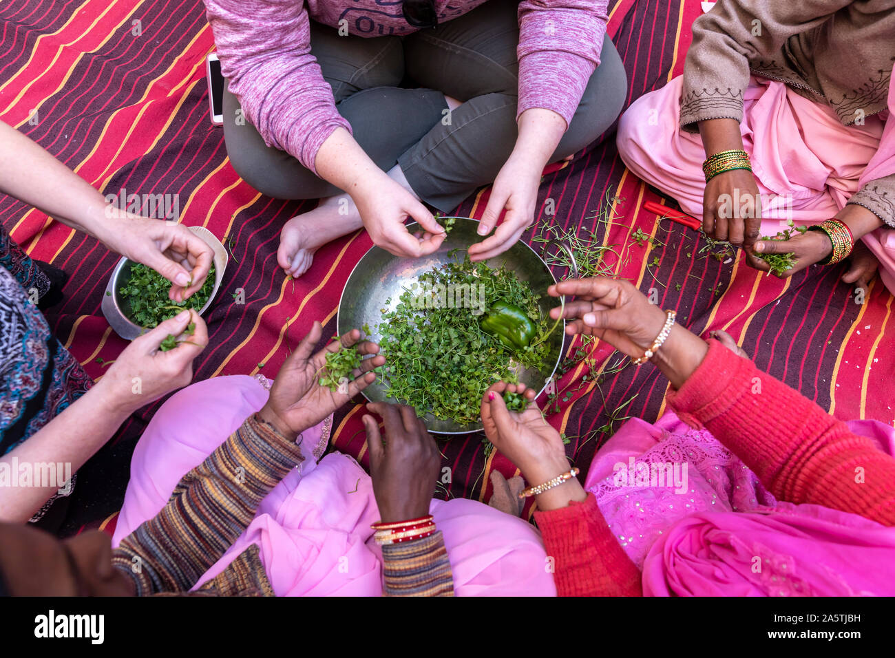 A detail shot of diverse women's hands preparing cilantro. Stock Photo
