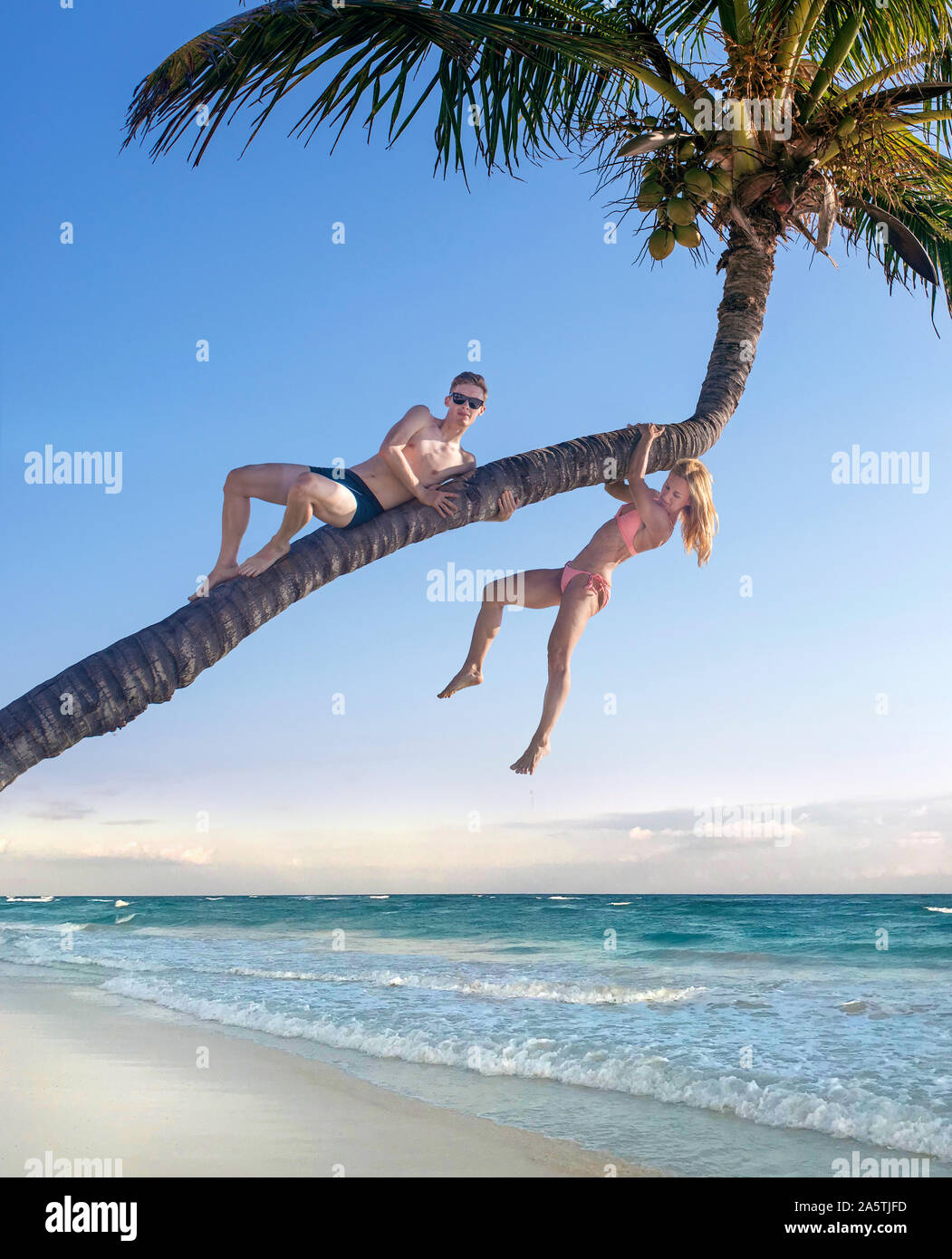 Man and woman climbing coconut tree Stock Photo