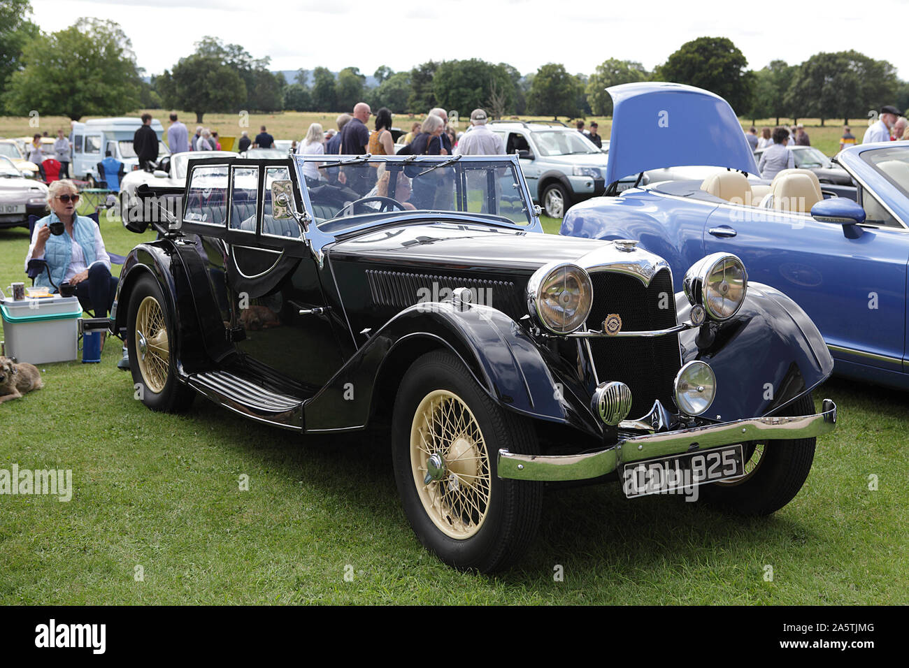 Riley lynx hi-res stock photography and images - Alamy