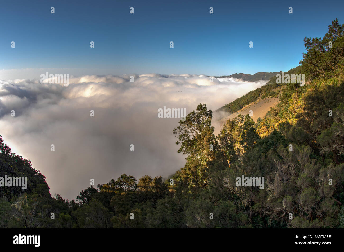 Above the clouds, like from an airplane. Amazing view of the wooded slopes of the northwest of the island of El Hierro. Warm cozy evening in the mount Stock Photo