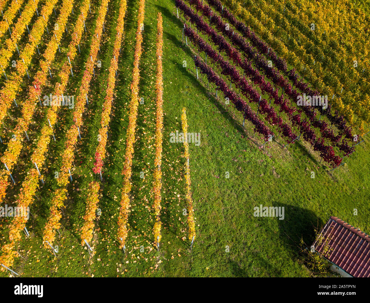 Stuttgart farming hi-res stock photography and images - Alamy