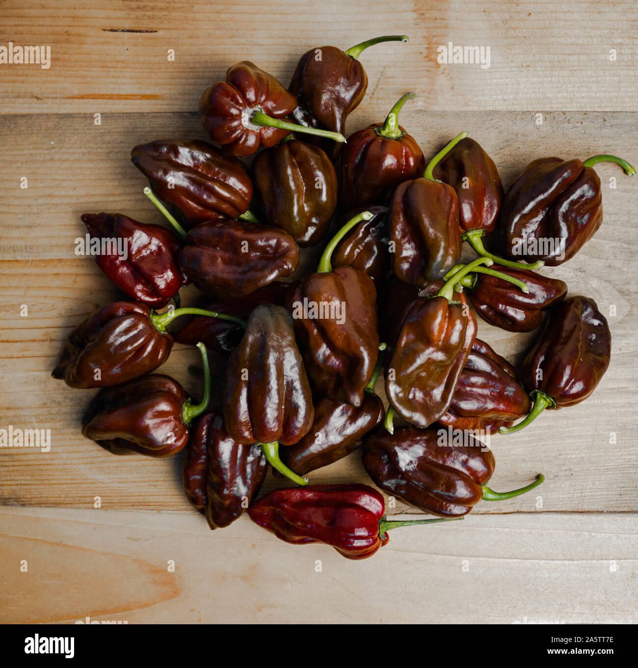 Group of chocolate habanero peppers (Capsicum chinense) on a wooden table. Chocolate brown hot chili peppers. Tasty paprika, one of the hottest pepper Stock Photo