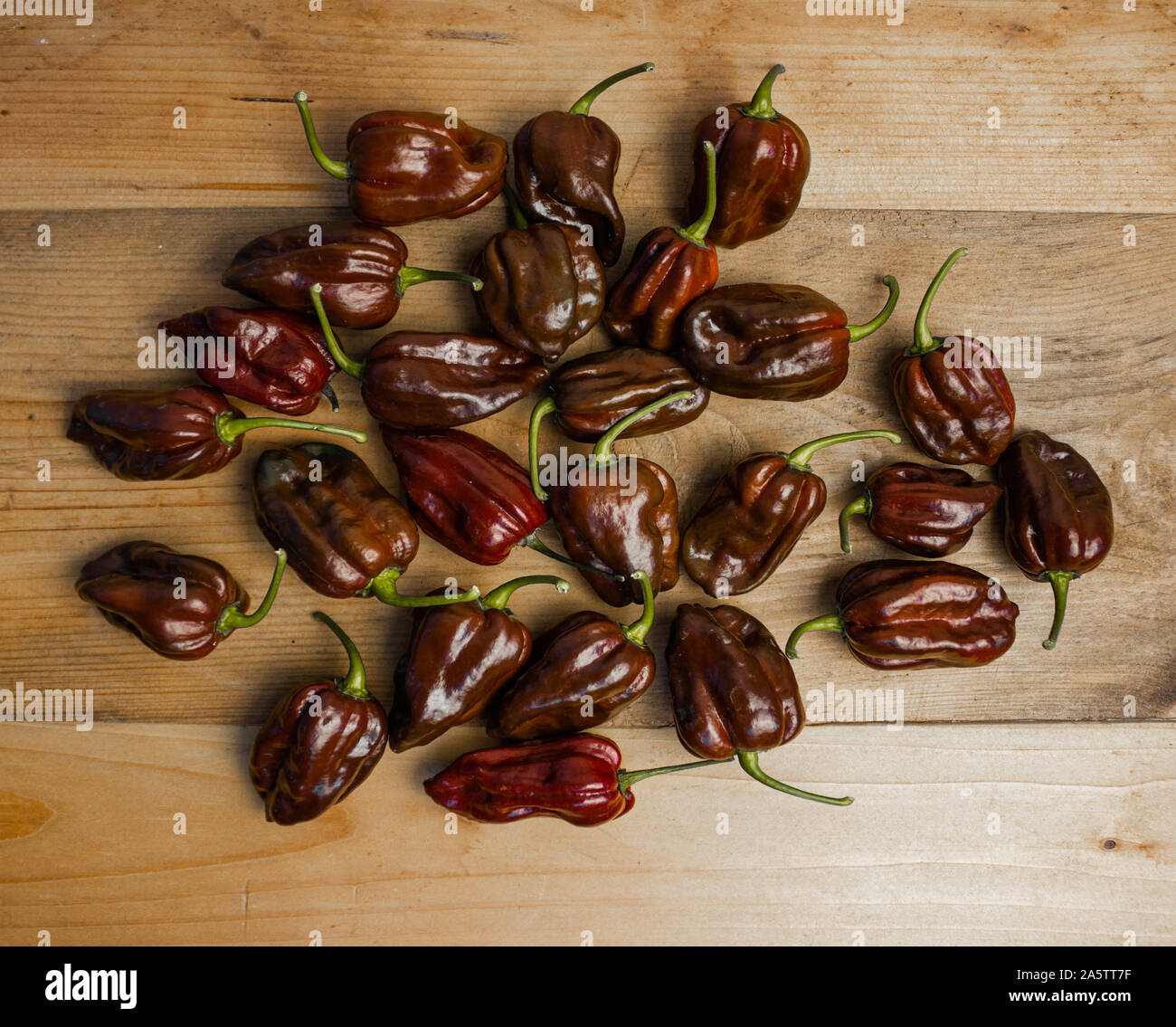 Group of chocolate habanero peppers (Capsicum chinense) on a wooden table. Chocolate brown hot chili peppers. Tasty paprika, one of the hottest pepper Stock Photo