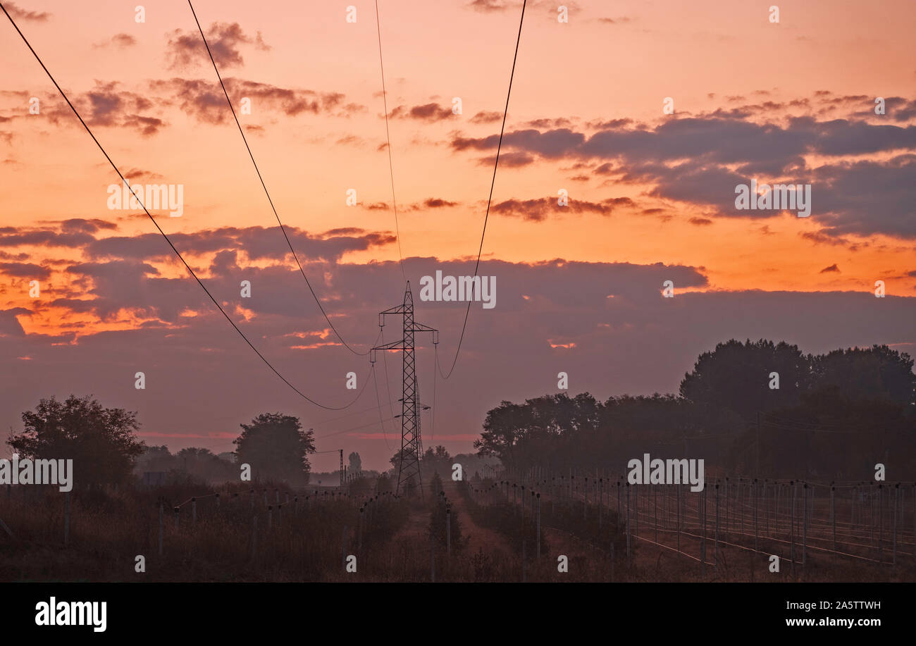 Sunrise at countryside. Orange and purple clouds over young trees in line.  High voltage tower and cables in the middle of the picture. Stock Photo