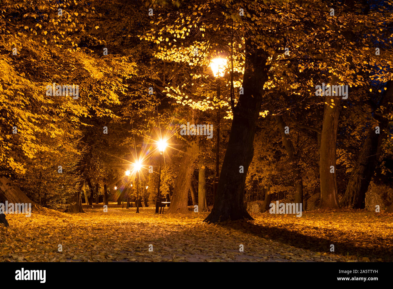 City park at night hi-res stock photography and images - Alamy