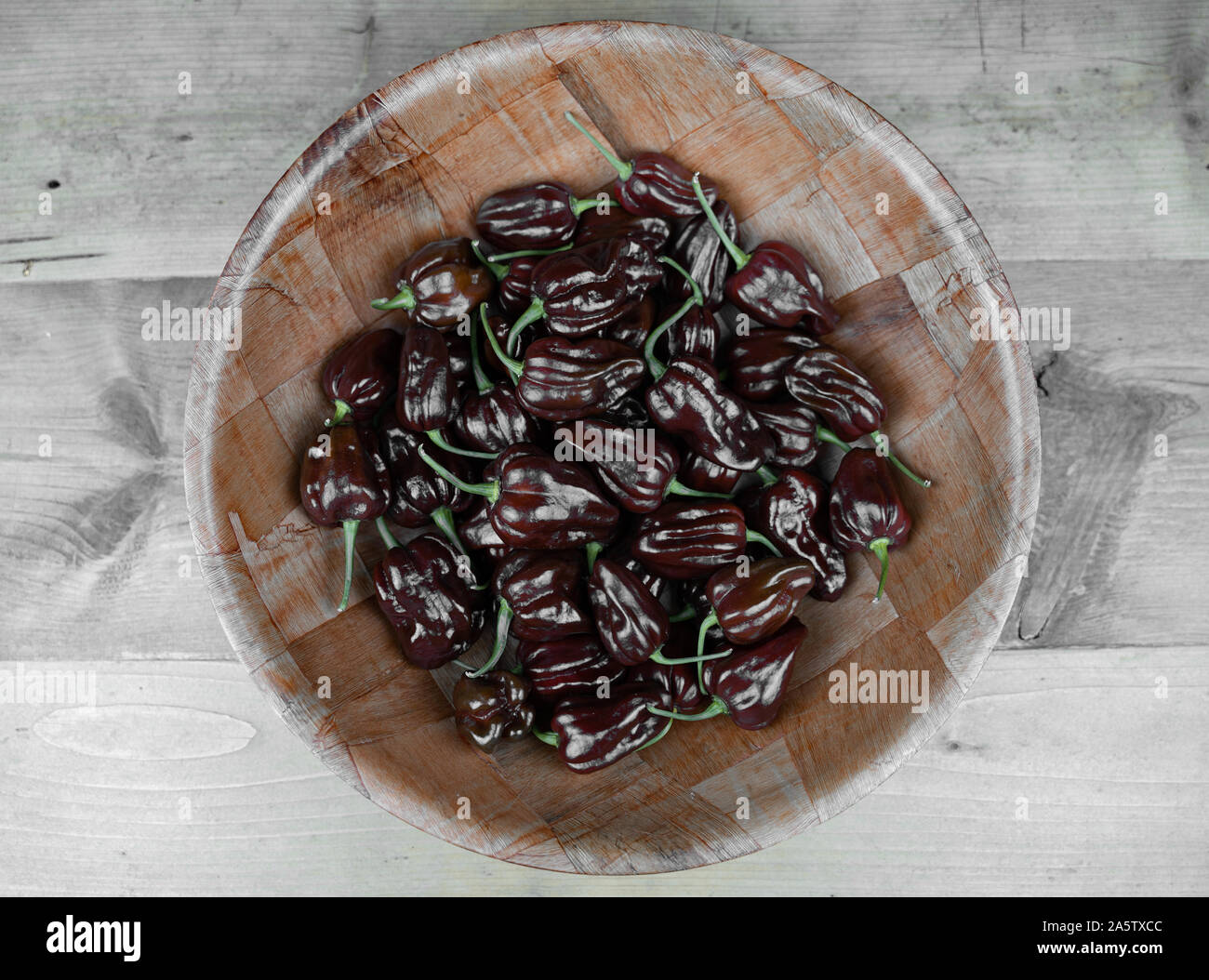 A bowl of chocolate habanero peppers (Capsicum chinense) on a wooden table. Chocolate brown hot chili peppers. Tasty paprika, one of the hottest Stock Photo
