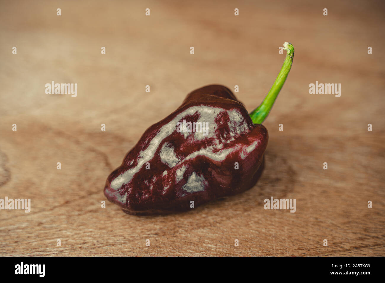 Photo of chocolate habanero pepper (Capsicum chinense) on a wooden table. Chocolate brown hot chili pepper. Tasty paprika, one of the hottest. Stock Photo