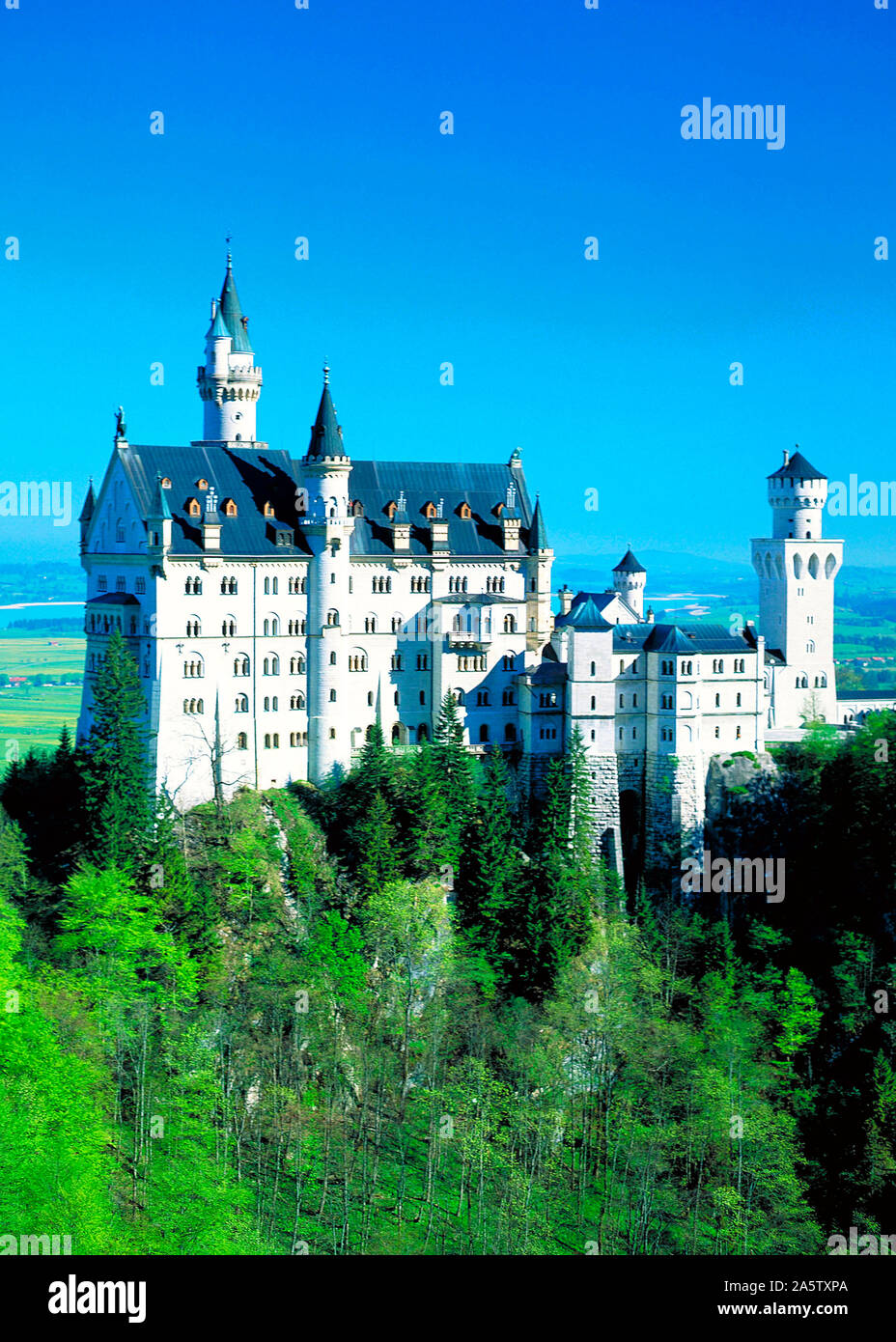 Schloss Neuschwanstein - Bayern Stock Photo