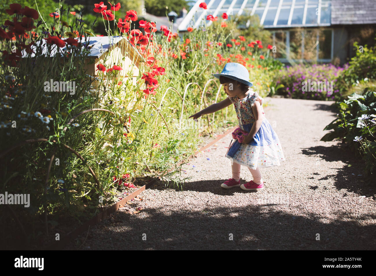 toddler girl playing in summer garden Stock Photo - Alamy