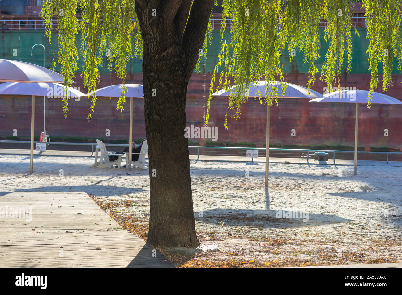 Sugar Beach in Toronto in a popular tourist destination. It is a great