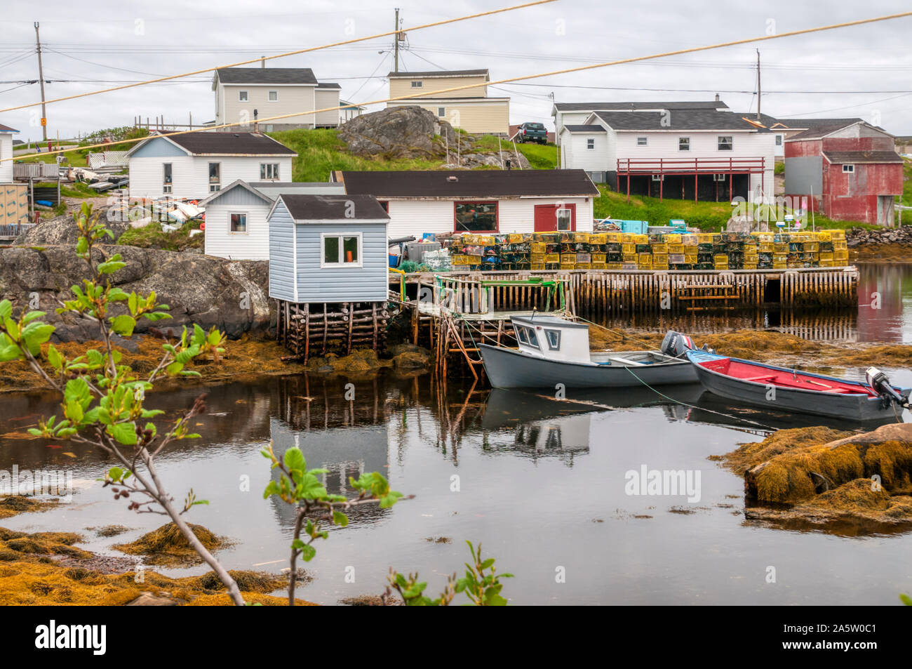 Newfoundland harbours hires stock photography and images Alamy