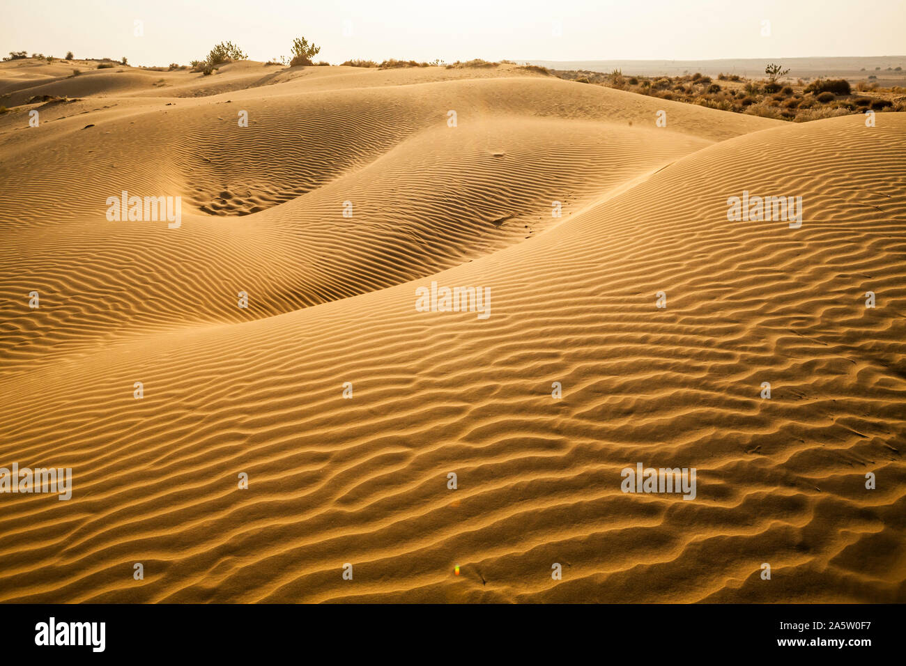 Sand dunes in the Thar Desert, Rajasthan, India. Stock Photo